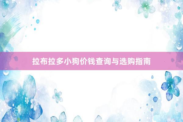 拉布拉多小狗价钱查询与选购指南