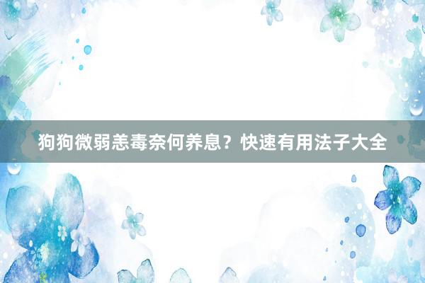 狗狗微弱恙毒奈何养息？快速有用法子大全