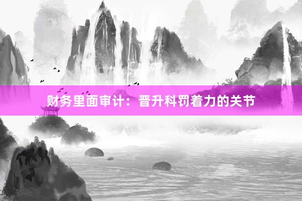 财务里面审计：晋升科罚着力的关节
