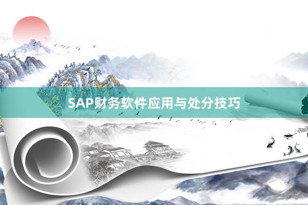 SAP财务软件应用与处分技巧